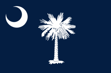 Flag of South Carolina (wiki)