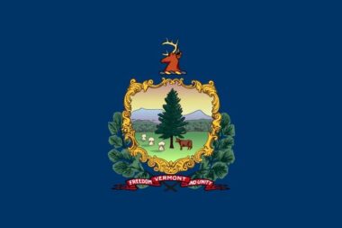 Flag of Vermont (wiki)